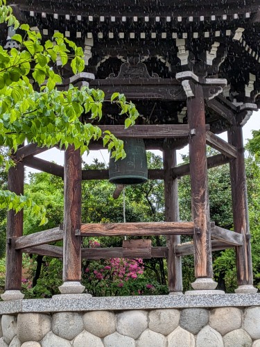 PXL_20260423_051347062.MP